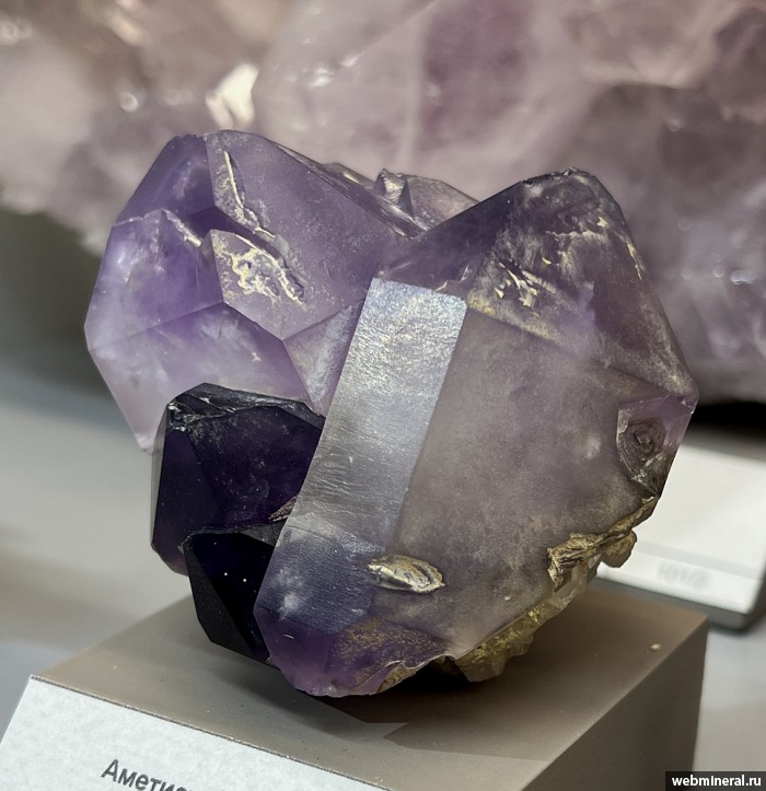 ���������� �������� ����� ����. (�������). ������ �������������.