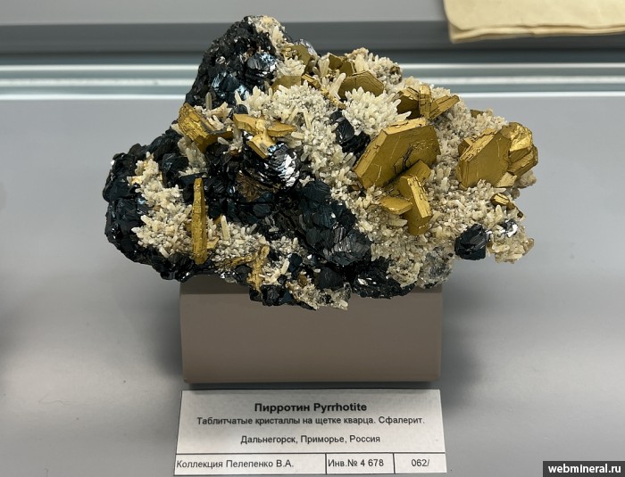 ���������� �������� ��������, ��������, �����. ������������ ������.