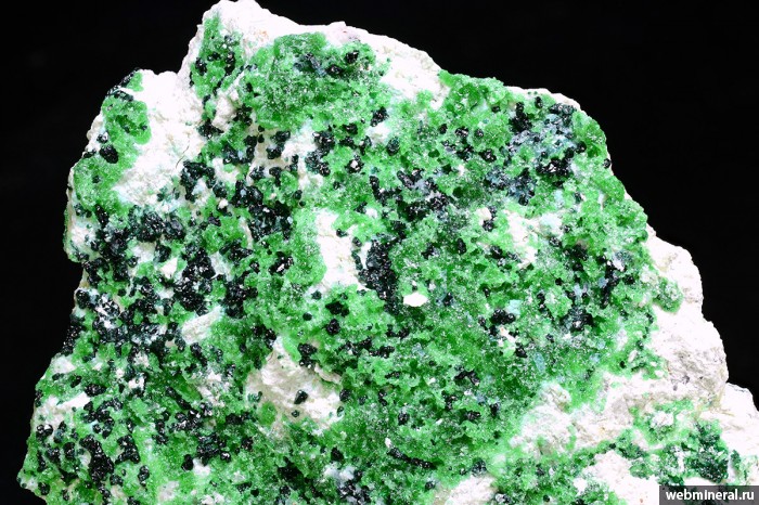   , . Chuquicamata mine, Calama, Antofagasta Region.