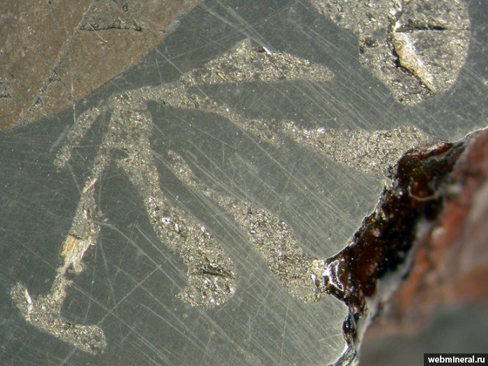 Фотография минерала Шрейберзит. Сихоте-Алинь метеорит.