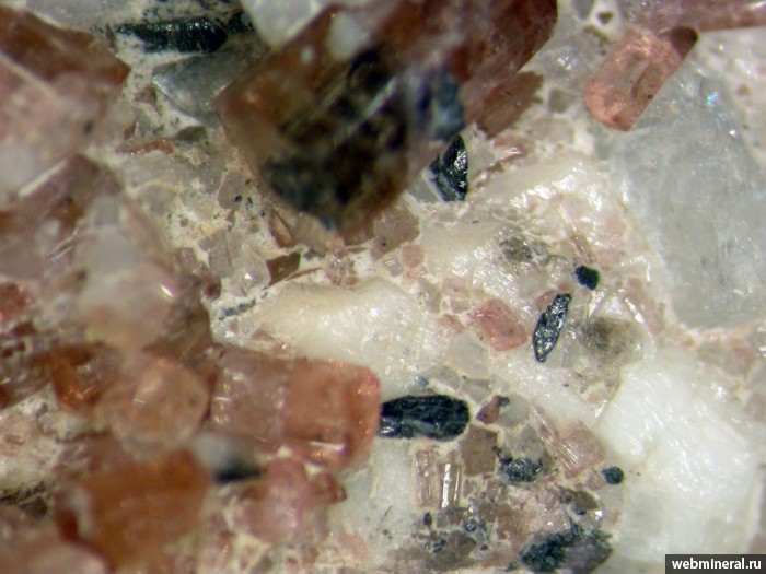 Фотография минерала Висмутоколумбит, Альбит, Эльбаит. Данбуритовая жила.