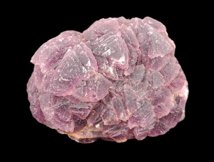 ���������� �������� �������. ��������� �������������.