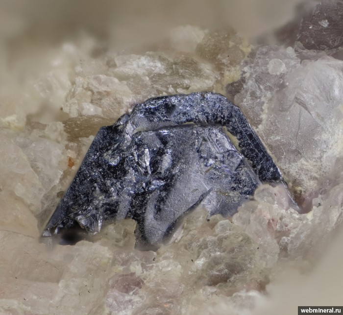 ���������� �������� ����������. ���-��������� (W) �������������.