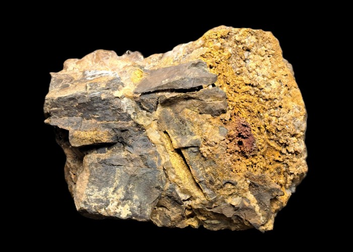 ���������� �������� �����, ø���. �������� �����.