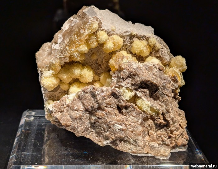 ���������� �������� ������������, ��������. ����� � 99.