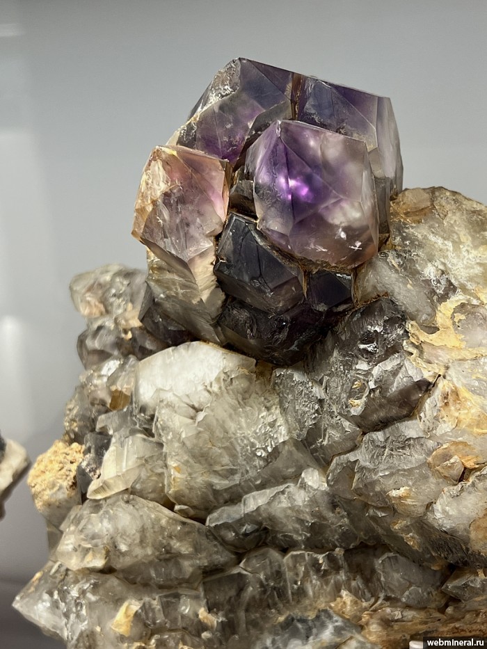 ���������� �������� ����� ����. (�������). ���� ������� ��������.