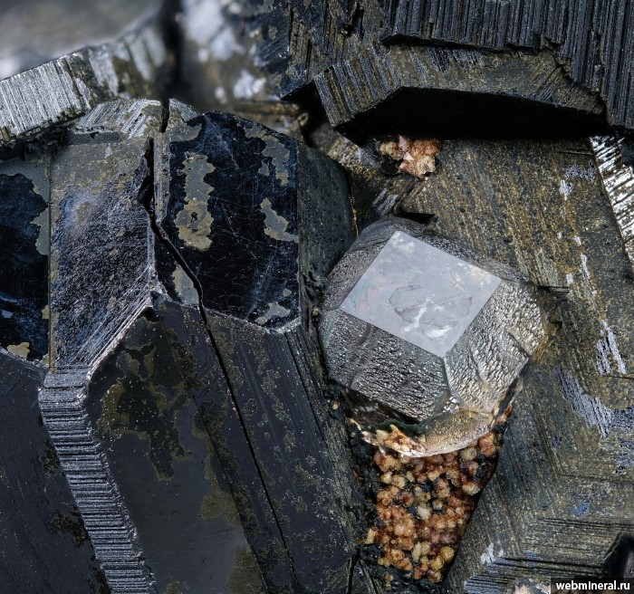 ���������� �������� ��������, �������, �������. 2-� ��������� ������.