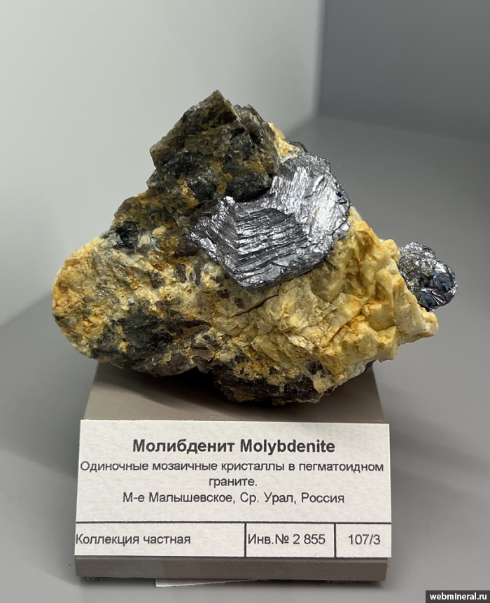 ���������� �������� ����������. ���������� (�����������) �������������.