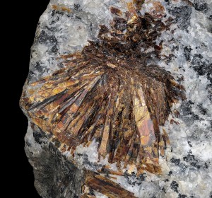 �����������. ����������� ����. �������� � �������������. webmineral.ru