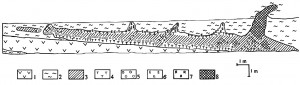 Схема  строения  пегматитовой  залежи  