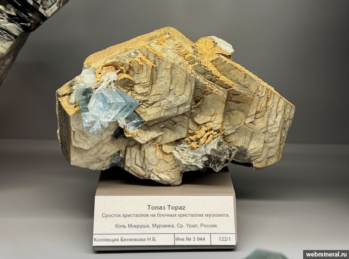 ���������� �������� �����, ��������. ������� ����.