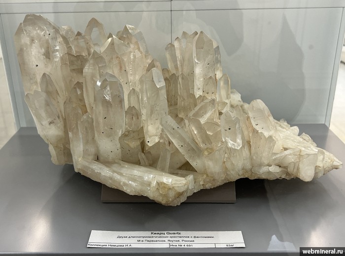 ���������� �������� �����. ���������� �������������.