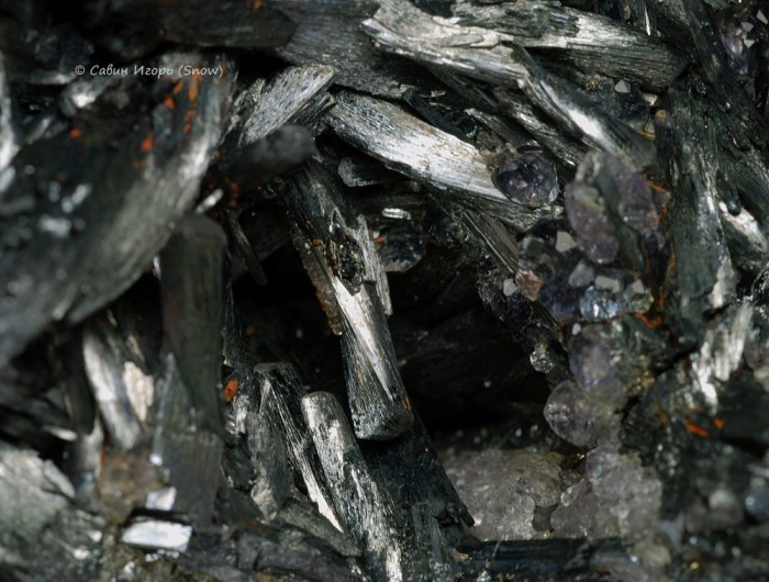   , . Qinglong, Guizhou, China ().