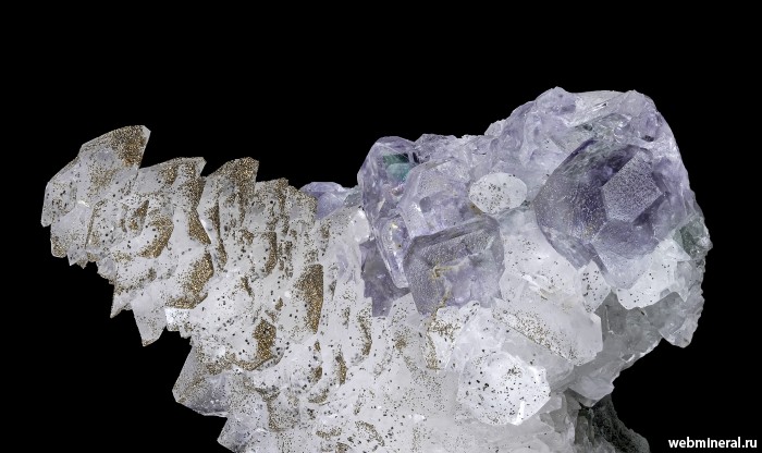 ���������� �������� �������, �������, �����. 2-� ��������� ������.