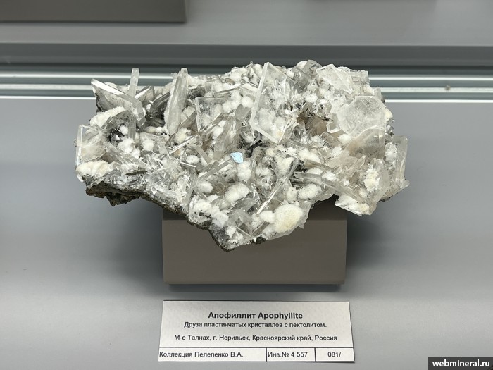 ���������� �������� �����������������-(K), ��������. ���������� ������ ���� (����� ������).