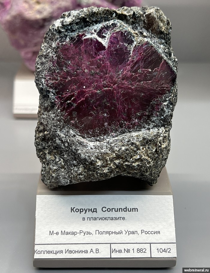 ���������� �������� ������. �����-���� ����������.