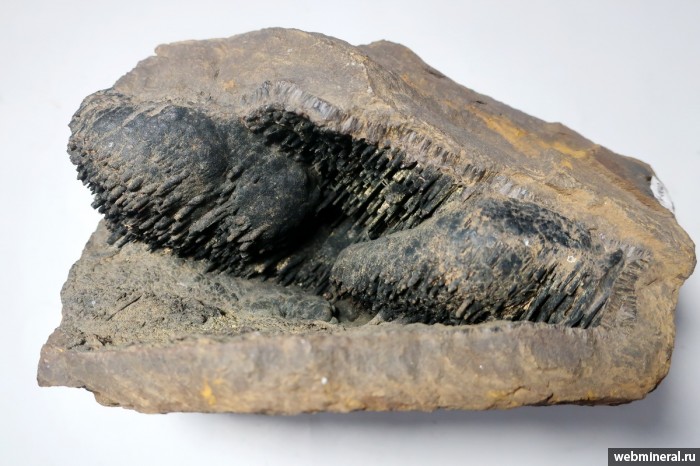 ���������� �������� ø���. �������������� (Fe) �������������.