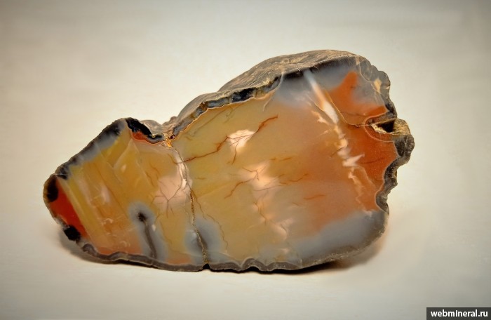 ���������� �������� ����� ����. (��������). ������ �������������.