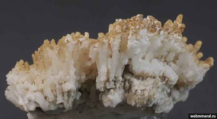 ���������� �������� ��������, �������. ������� �������������.