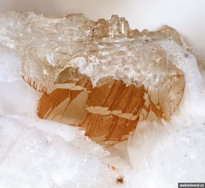 ���������� �������� �����, �������, ��������. ���� � 2.