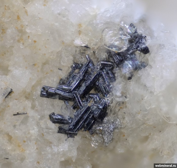 ���������� �������� �����. �������� �������.