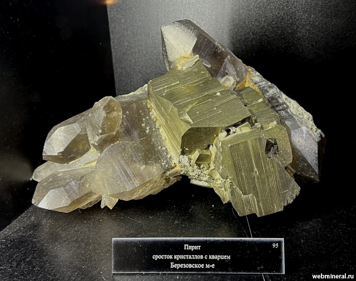 ���������� �������� �����, �����. ���������� (Au) ������������� (������ ����).