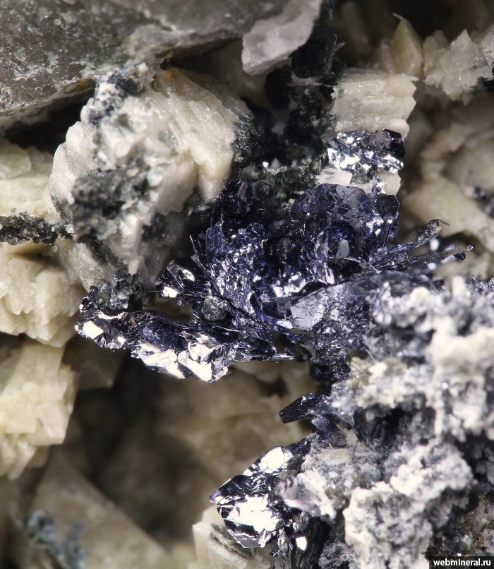 ���������� �������� ������, ����������, �������, �����. ������� ����������.