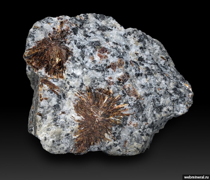 ���������� �������� �����������. ����������� ����.