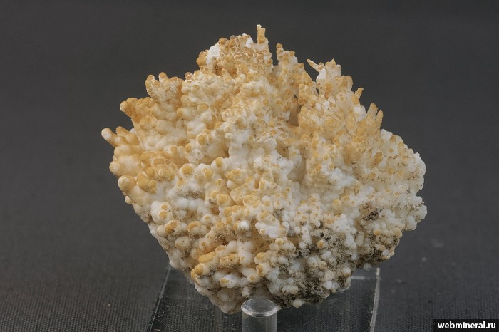 ���������� �������� ��������, �������. ������� �������������.