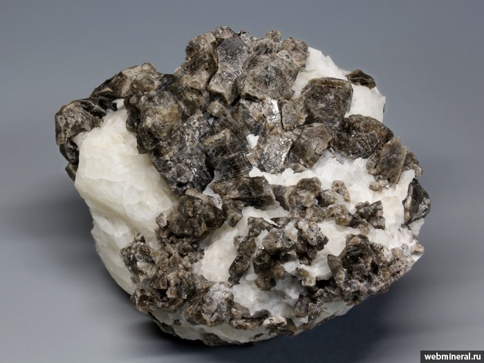 ���������� �������� ����� ����. (�������), �������. ����� ������.