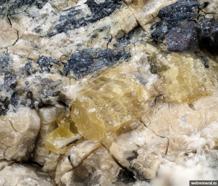 ���������� �������� ��������������������, �����������. ��������������� ����.