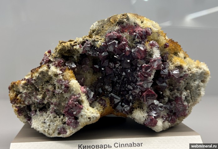 ���������� �������� ��������, �����. ������ (Hg) �������������.