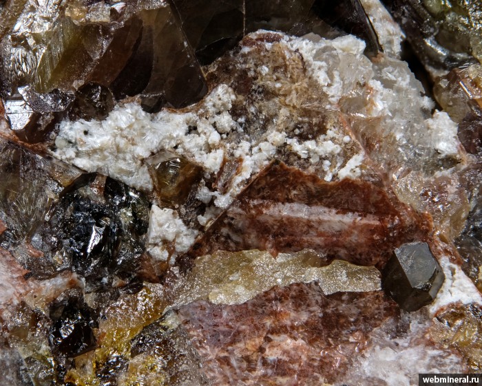 ���������� �������� ����������, ��������, ������. ���� � 5.