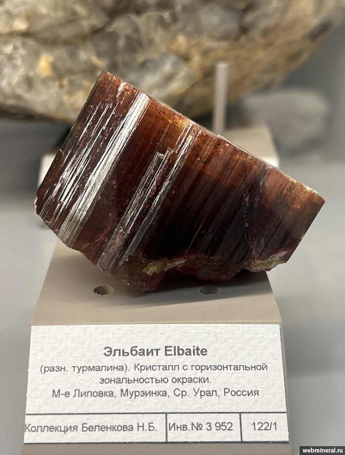 ���������� �������� �������. ��������� ������������ ����.