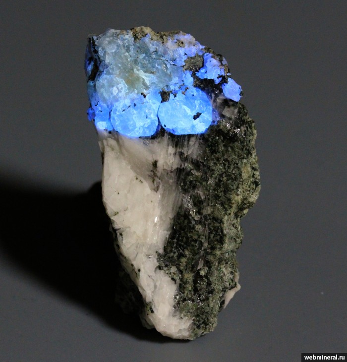 ���������� �������� ������, �������. ������ ������ ����.