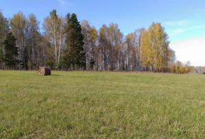  .  (Be) .   . webmineral.ru