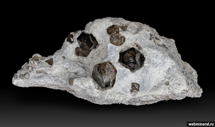 ���������� �������� ����� ����. (�������� �����). ������ ����������.