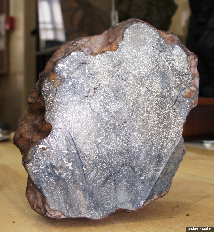 Фотография минерала Метеорит (хондрит). Новосибирск метеорит.