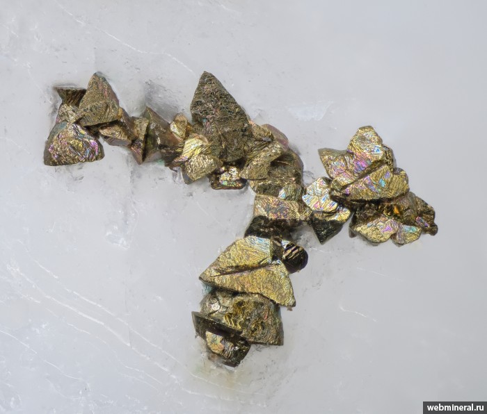 ���������� �������� �����������, �������. ����������� �����.