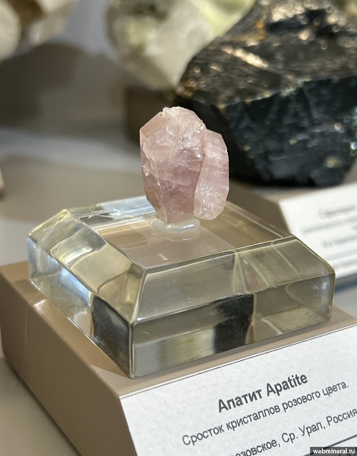 ���������� �������� ����������. ���������� (Au) ������������� (������ ����).