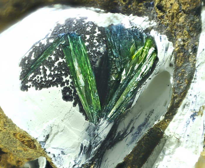 ���������� �������� ��������. ���������� �������.