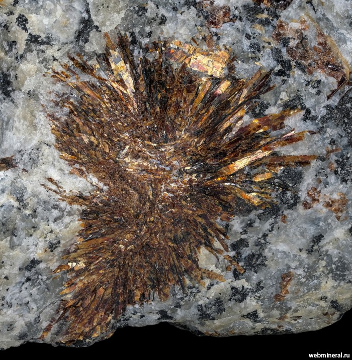 ���������� �������� �����������. ����������� ����.