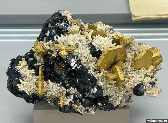 ���������� �������� ��������, ��������, �����. ������������ ������.