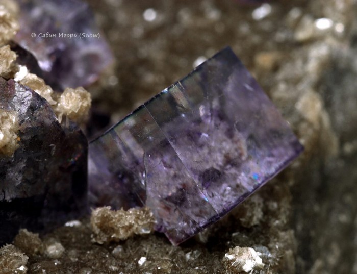 ���������� �������� �������, ��������. Yaogangxian, Hunan, China (�����).