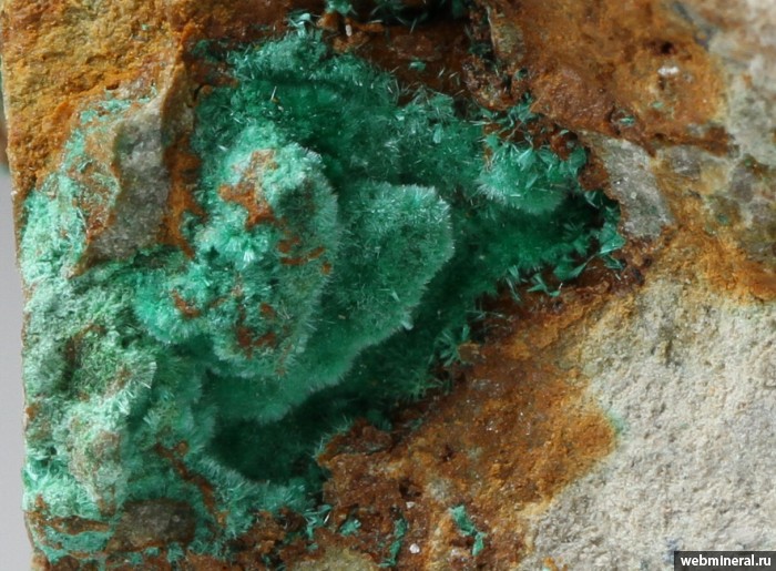 Фотография минерала Агардит-(Y). Северо-Восточный отвал.