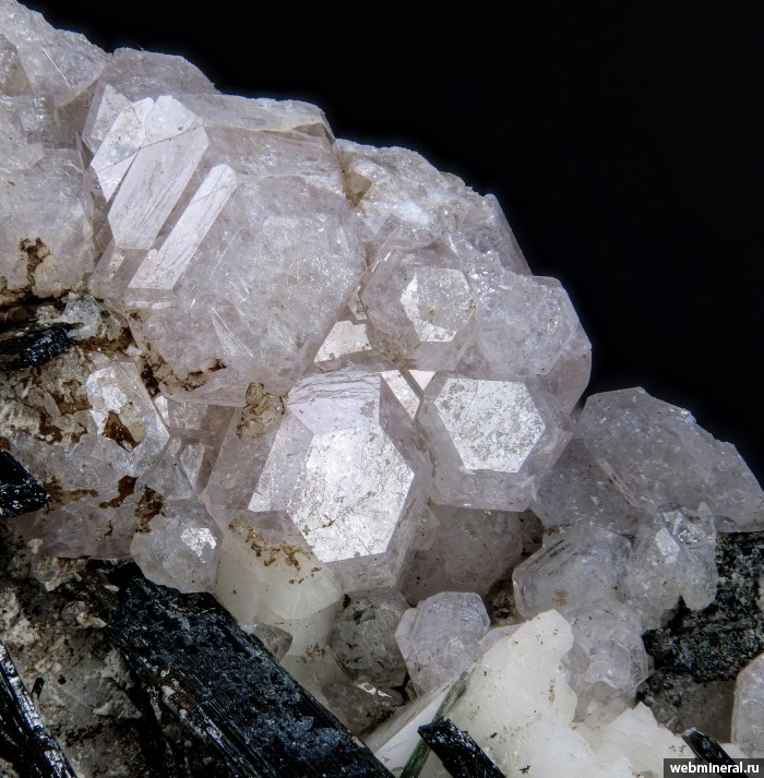 ���������� �������� ������, ������. ���� � 50.