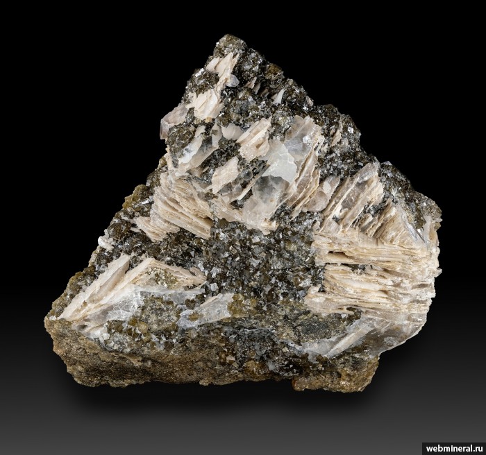 ���������� �������� ��������. ��� ������.