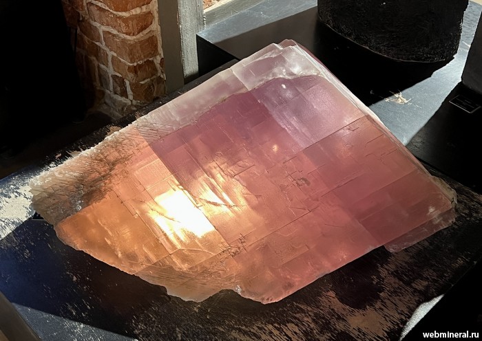 ���������� �������� �������. ���� �������������.