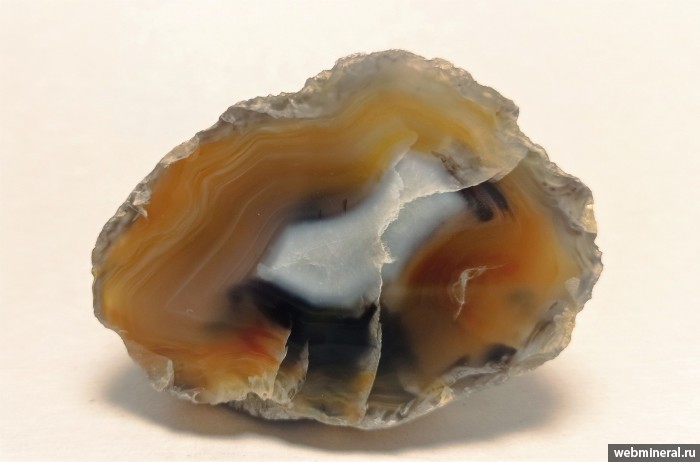 ���������� �������� ����� ����. (����), �����. ������ �������������.