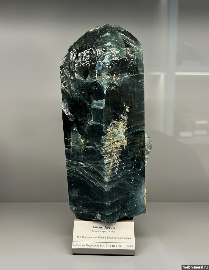 ���������� �������� ����������. ���������� ������������� ���������.